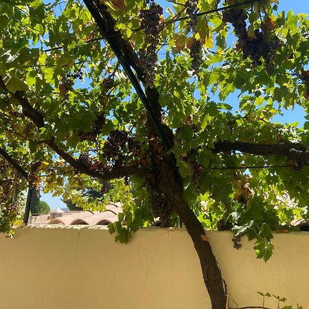 Evasion En Provence Bas De Villa Avec Jardin & Vignes, Soleil & Fraicheur Mirabeau Exterior foto